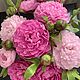  Букет из холодного фарфора "Розовые мечты". Букеты. EXCLUSIVE BOUQUET. Ярмарка Мастеров.  Фото №4
