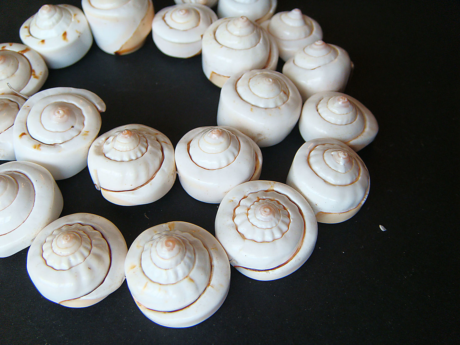 Beads Spiral shell, Liswa, Beads1, Bryansk,  Фото №1