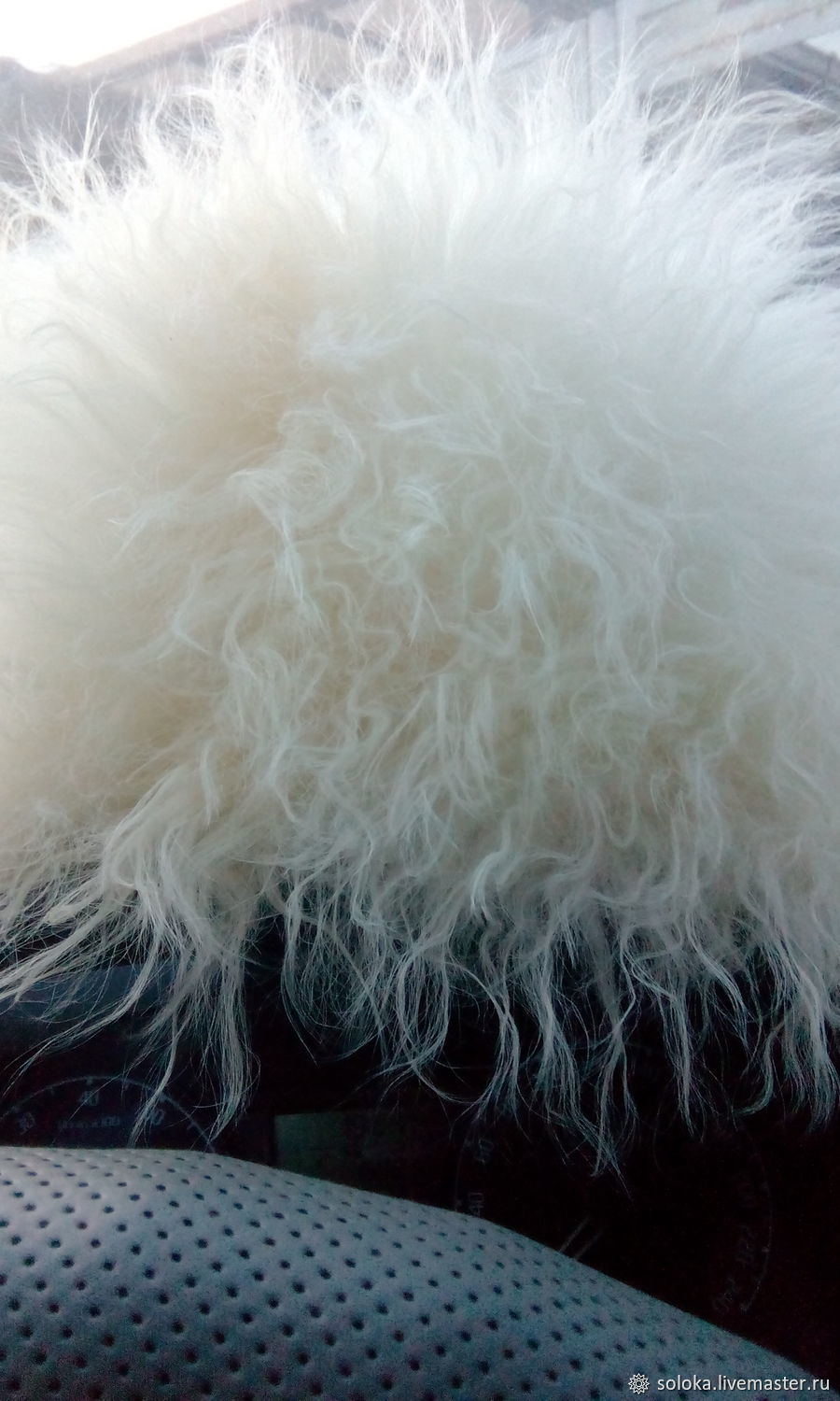 hats: Mountain sheepskin papakha Khabib 