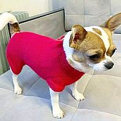 Платье для собачки из хлопка с кружевной юбкой