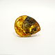 Baltic amber beautiful piece St-186, Beads1, Svetlogorsk,  Фото №1