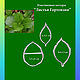 A set of cutters leaf hydrangea (small and medium), plastic, Cutters, Rostov-on-Don,  Фото №1