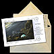 Защита агрессивная - руническая живопись «в конверте» от Trish. Оберег. Мастерская НЕслучайных вещей. Ярмарка Мастеров.  Фото №4