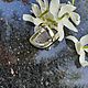 Кольцо с дендроагатом. Кольца. Vadjra-jewelry. Ярмарка Мастеров.  Фото №6