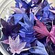 Сухоцвет лепестки василька микс 30мл. Сухоцветы для творчества. wow_flowers_26. Интернет-магазин Ярмарка Мастеров.  Фото №2