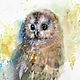 Watercolor painting. Birds. OWL. Pictures. ArtShipilina. Online shopping on My Livemaster.  Фото №2