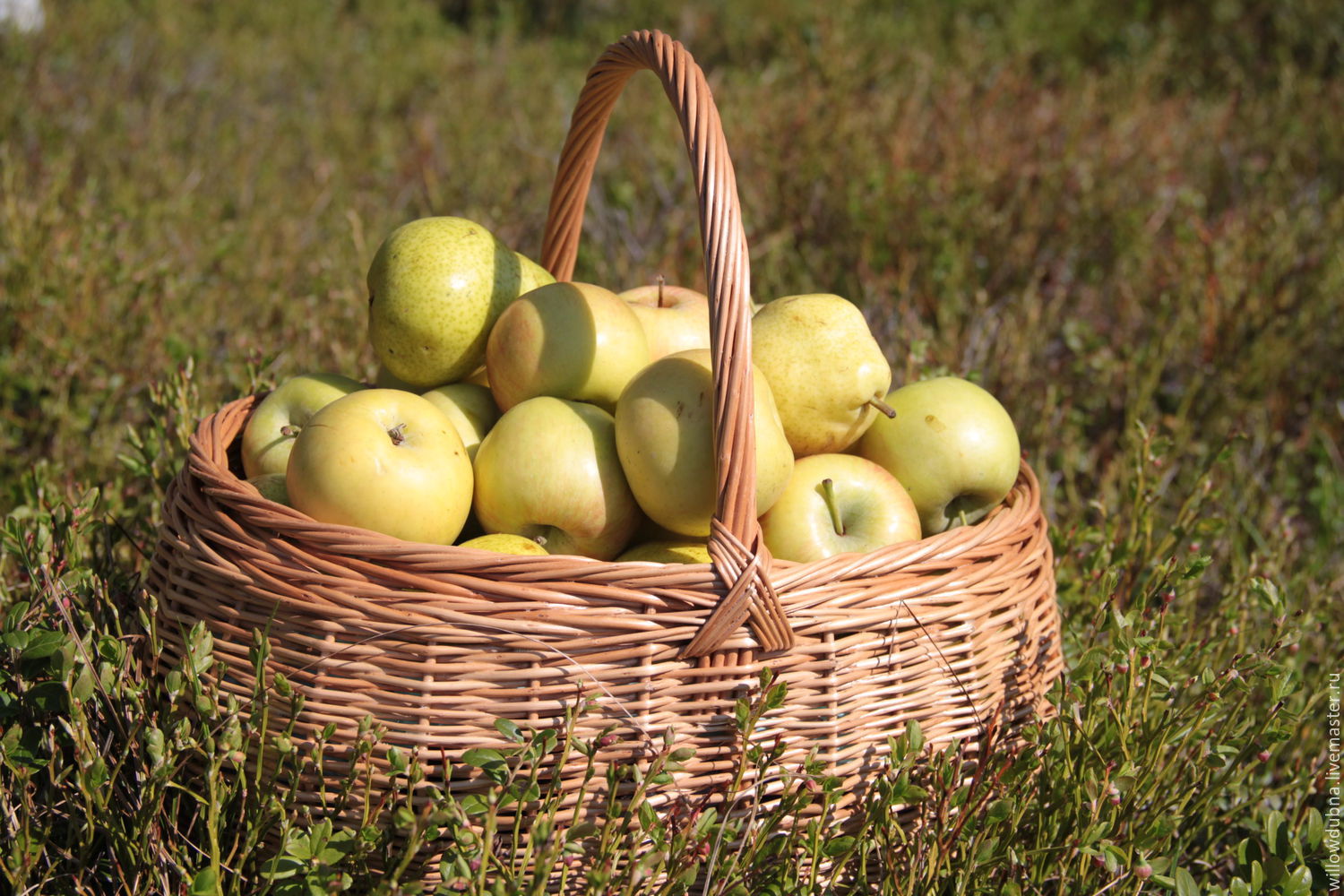 Корзина из лозы в интернет-магазине на Ярмарке Мастеров | Корзины ...