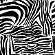 Принт зебры, зебриный узор, черно-белая зебра, Ткани, Москва,  Фото №1