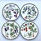 Painted porcelain Plates on the wall Berry, Plates, Kazan,  Фото №1