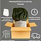 Заказать 200 гр  для валяния и вязания, 100% Меринос, 23 микрон. Liv-wool. Ярмарка Мастеров. . Шерсть Фото №3