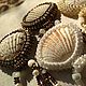 Заказать Бусы с подвеской-ракушкой, бисерное колье с жемчугом и перламутром. TYgeometryOfBeads. Ярмарка Мастеров. . Бусы Фото №3