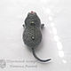 Brooch gray mouse – mouse felted wool ( mouse brooch). Brooches. Woolen Zoo. My Livemaster. Фото №5
