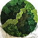 Round phytocart of different types of moss 100 cm. Moss. Антонина Литовкина - Озеленение (Планета Флористики). My Livemaster. Фото №4