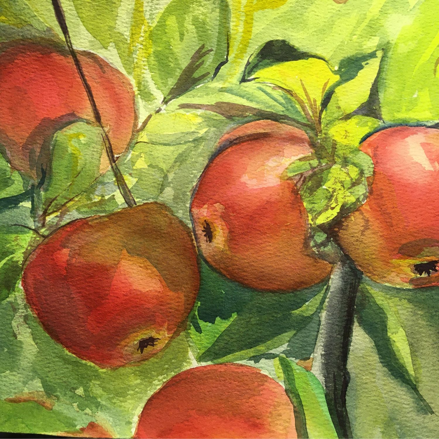 Картина Елены Романенко яблоки