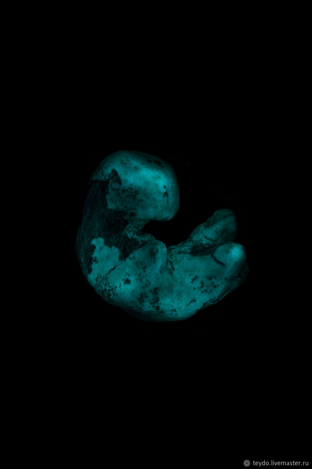 Install Embryo On Witches