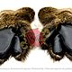  Зимние варежки из меха бобра. Варежки. Royal Furs. Ярмарка Мастеров.  Фото №6