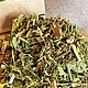 Collecting herbs Women's Health. Grass. altayatravy (altayatravy). Online shopping on My Livemaster.  Фото №2