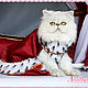 `Royal lady` exhibition outfit for cats