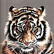Order  Tiger. symbol of the year. Print from the author's work. Valeria Akulova ART. Livemaster. . Pictures Фото №3