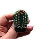 Brooch 'the Cactus kid'. Brooches. Barmina_Jawelry. Online shopping on My Livemaster.  Фото №2