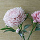 Peonies. Composition. Flowesforever. Online shopping on My Livemaster.  Фото №2