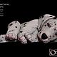 Grilly, Monty, Benni от Simon Laurens. Куклы Reborn. Knopkadoll. Ярмарка Мастеров.  Фото №11