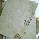 Handmade paper 'Herbalist'. Drawing paper. 'SoloMA'/Природная бумага. My Livemaster. Фото №6