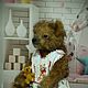 Bear Masha. Teddy Bears. home zoo (almaz63). Online shopping on My Livemaster.  Фото №2