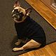 Order Sweater for French bulldog/pug (different color). anyapetrova05. Livemaster. . Pet clothes Фото №3