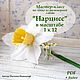 МК Нарцисс в масштабе 1к12, Курсы и мастер-классы, Троицк,  Фото №1