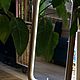 Зеркало 550*800мм с подсветкой  массив дуба, Зеркала, Великий Новгород,  Фото №1