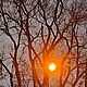 Фотосет "Волшебство фонарей". Фотографии. Откуда ни возьмись: рукоделие и фото. Ярмарка Мастеров.  Фото №4