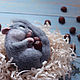 Sleeping squirrel (felted toy). Felted Toy. Sinitsa-masteritsa. Интернет-магазин Ярмарка Мастеров.  Фото №2