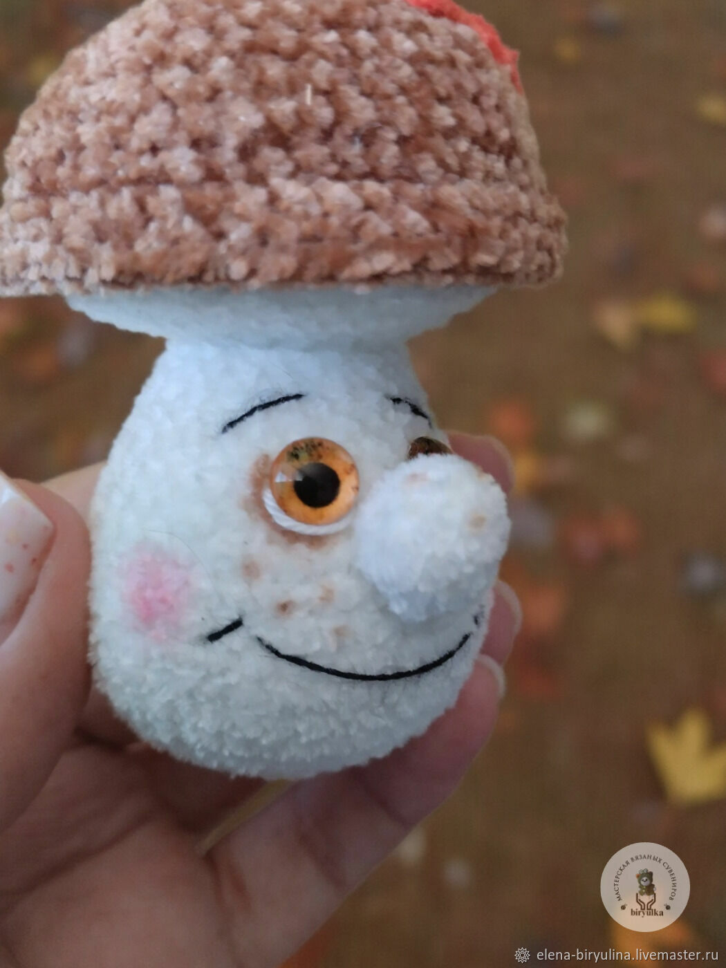 Грибочки и другие игрушки амигуруми в фото