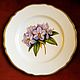 Винтаж: Тарелка столовая Hand Painted от Spode/Англия, Тарелки винтажные, Липецк,  Фото №1