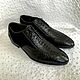 Men's loafers, made of genuine python leather and natural suede, Loafers, St. Petersburg,  Фото №1
