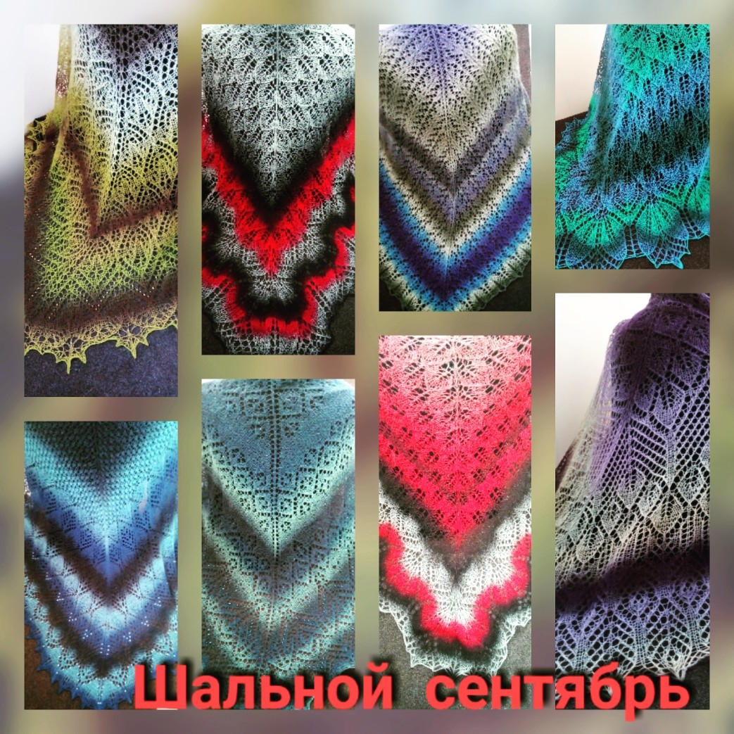 Мой профиль
