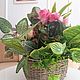 Mini garden of artificial flowers in a basket. Composition. TaLanaLita (goodshop39). Online shopping on My Livemaster.  Фото №2