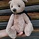 Заказать Мишка из детства. Кофе с молоком. STRUZHKA_Teddy_  (bayova). Ярмарка Мастеров. . Мишки Тедди Фото №3