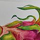 Картина Питахайя акварель для кухни фрукты 19.5 на 27 см. Картины. Картины от Альбины. Ярмарка Мастеров.  Фото №6