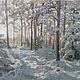  Oil painting on canvas Winter miracle, Pictures, Korolev,  Фото №1