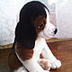 cachorro beagle SHAH. Stuffed Toys. ZOYA KHOLINA. Ярмарка Мастеров.  Фото №5
