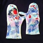 Set boots and mittens with embroidery