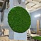 Круг из мха. Фитокартины. Green.Box. Ярмарка Мастеров.  Фото №6