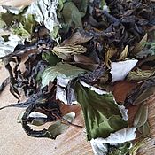 Сувениры и подарки handmade. Livemaster - original item Spruce Herbal Tea. Handmade.