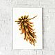 Watercolor Pine cone. Pictures. natabold. Online shopping on My Livemaster.  Фото №2
