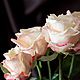 Роза "Cabaret". Цветы. Sezam.Flowers. Ярмарка Мастеров.  Фото №5