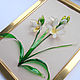  white Orchid, Panels, Cheboksary,  Фото №1
