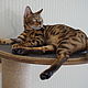 Post-scratching post with shelves 'Katie-3'. Scratching Post. VIMBESK. My Livemaster. Фото №4