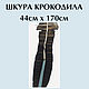 Кожа крокодила чёрная В НАЛИЧИИ. Кожа. BurlakovStraps. Ярмарка Мастеров.  Фото №4